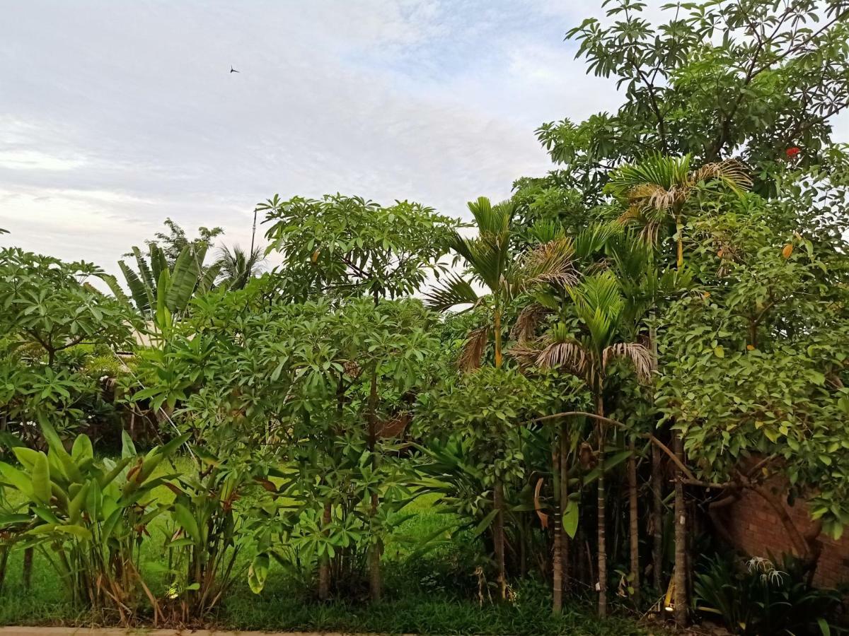 Filia D'Angkor Boutique Villa Siem Reap Bagian luar foto